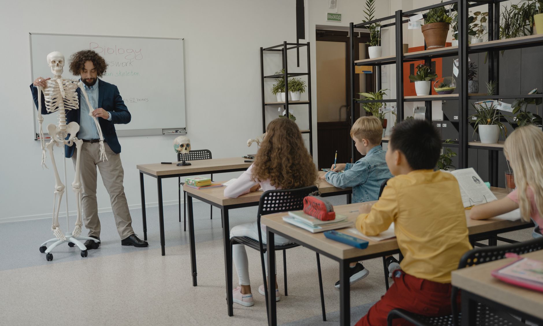 What are some examples of Teacher training online