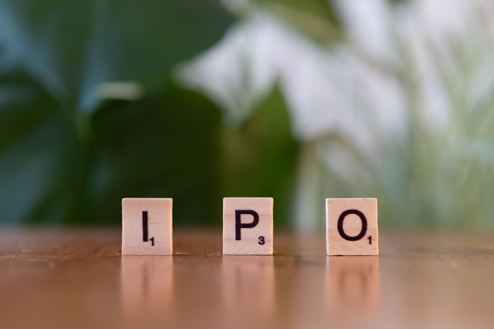 NSE IPO allotment status: Is it the best time to check?